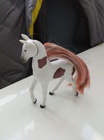 Superbe p'tit cheval