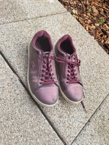 Baskets lacoste  Carnaby Evo taille 38 bon état