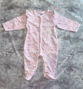 Pyjama rose