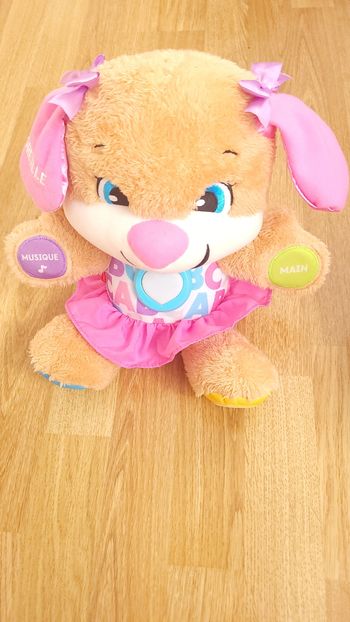 Puppy sis éveil progressif