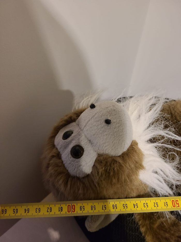 singe - photo numéro 4