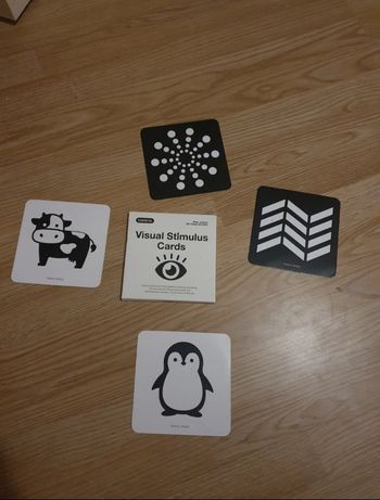 Visual Stimulus Cards