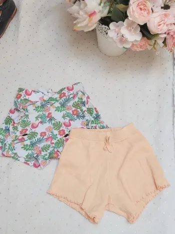 lot 2 shorts