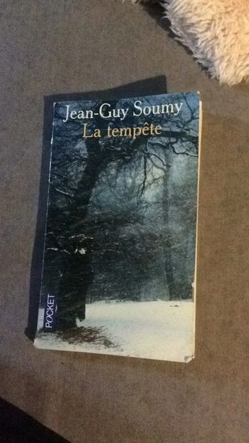 #la tempête Jean Guy Soumy