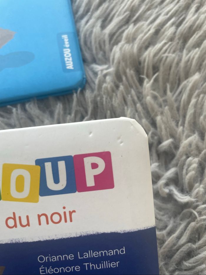Lot de 2 livres P'tit Loup - Auzou éveil - photo numéro 4