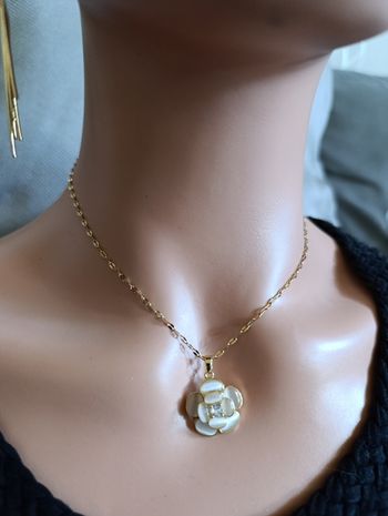 Collier en acier inoxydable