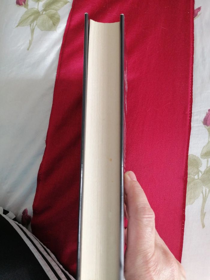 La maison en pain d épices - photo numéro 4