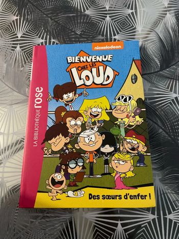 Livre bienvenue chez les loud «  des sœurs d enfer!