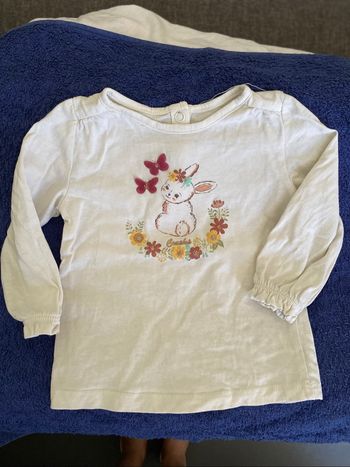 Tee shirt manches courtes creeks