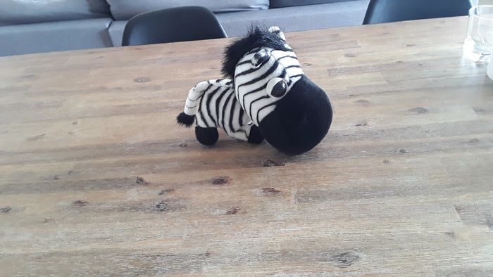 Peluche zèbre