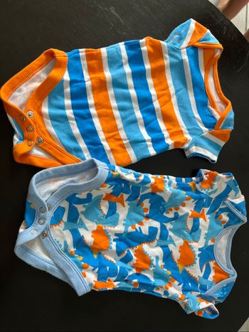 Lot body orange