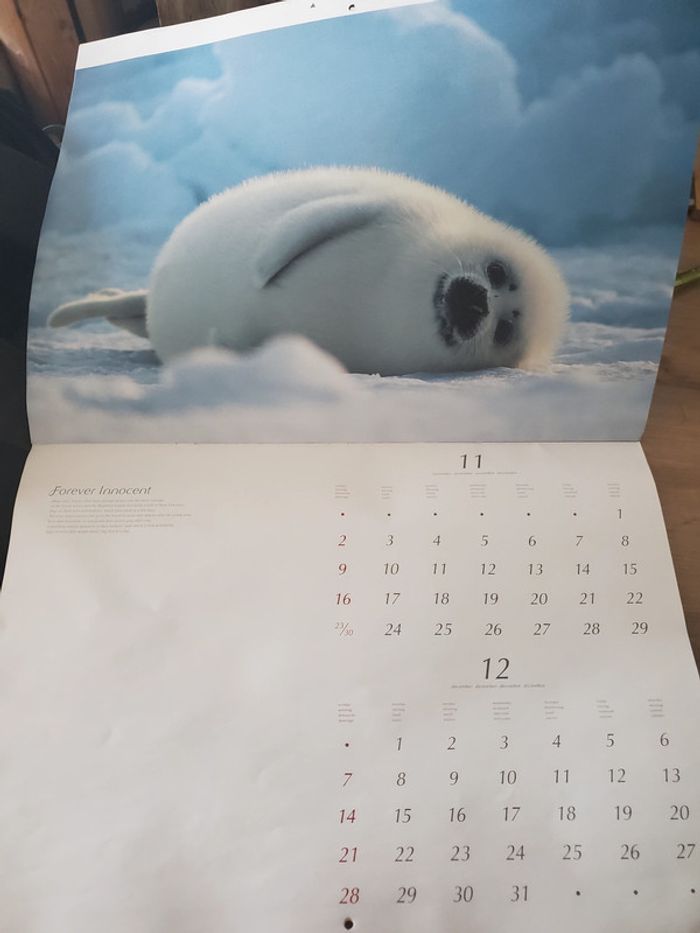 Forever Innocent animaux - photo numéro 4