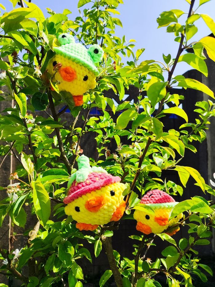 Têtard - Poussin au Chapeau-Grenouille - photo numéro 3