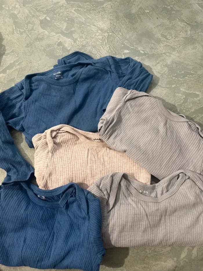 Bodies