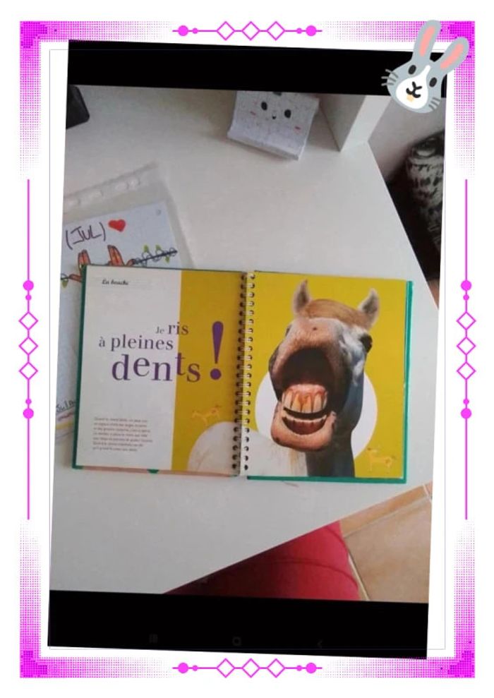 Les imagiers de la campagne - photo numéro 5