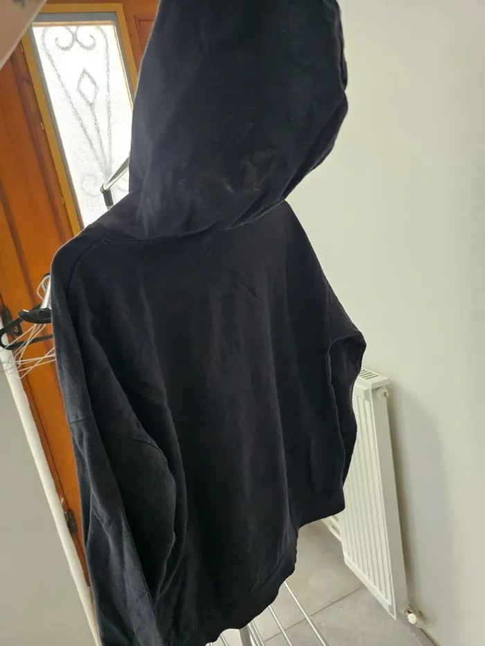 Pull Sweat a capuche roi lion +1 gratuit - photo numéro 5