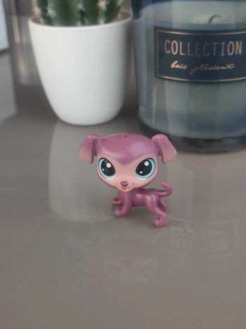 Littlest Pet Shop #220 Bouncy Eagerton purple dog labradoodle