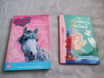 Ariel et Poneys magique