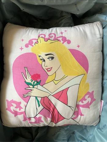 Coussin princesse Disney