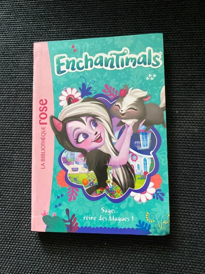 Livre enchantimals