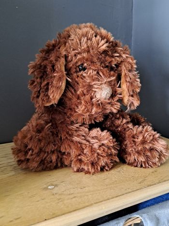 Chien brun toux doux