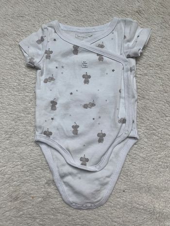 Bodies sergent major