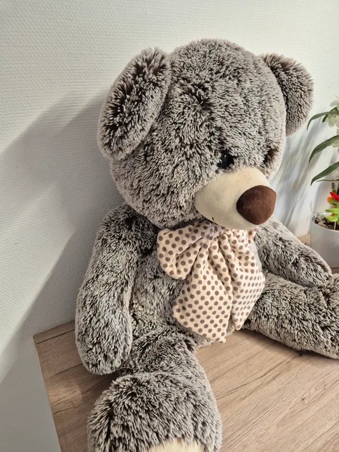 Ours en peluche - photo numéro 4