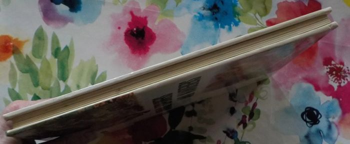 Animal explorers and wanderers Animal world in colour M. Burton - photo numéro 4