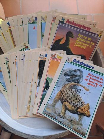 Lot d'une 50aine de fiches sur les dinosaures