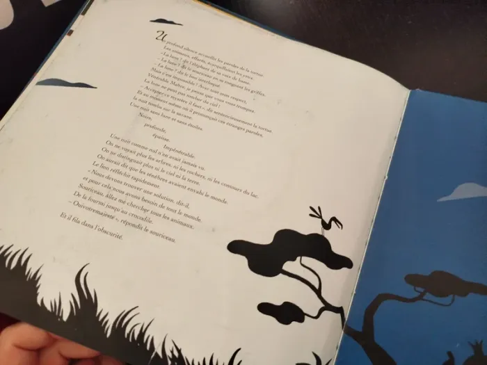📚 Livre : Le Carnaval des Animaux 🎶 - photo numéro 2