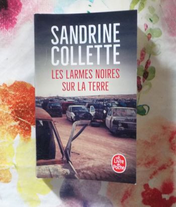 LES LARMES NOIRES SUR LA TERRE de Sandrine COLLETTE Ed. Livre de Poche