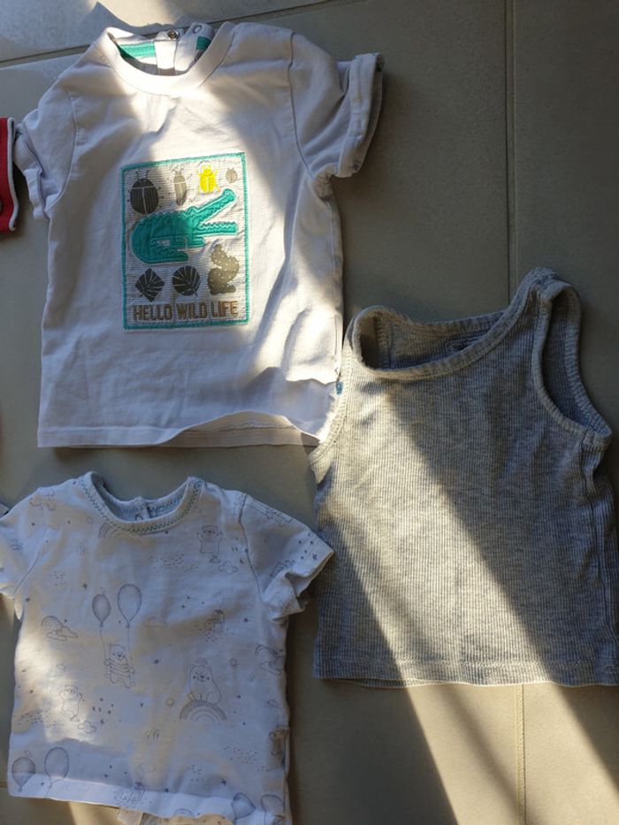 5 t-short manche courte 9 mois 71 cm 1an 12 mois 74 cm - photo numéro 3