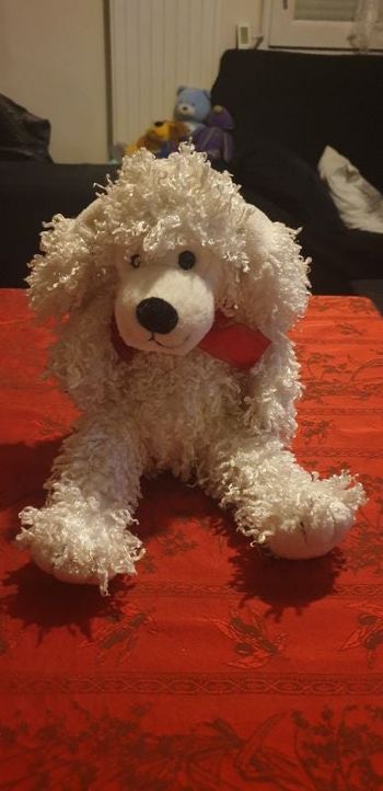 Peluche Caniche