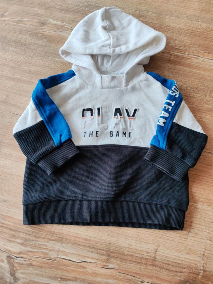 Sweats capuche - photo numéro 3