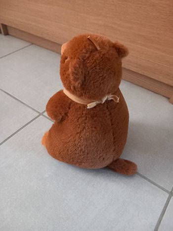 Marmotte