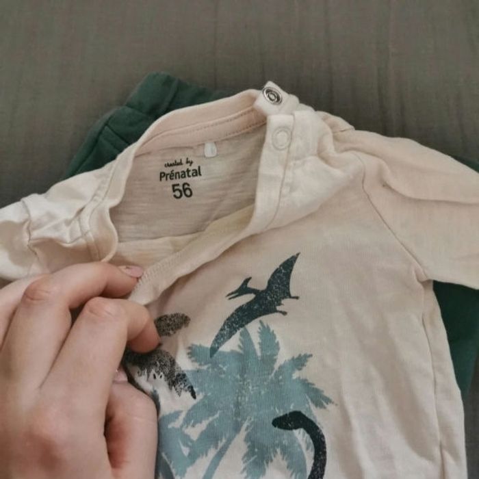 Ensemble - photo numéro 5