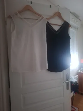 Lot de 2 blouses femme l neuves