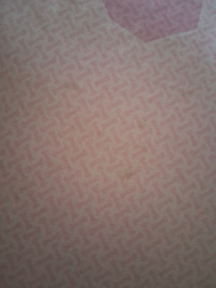 Rehausser pat patrouille - photo numéro 8