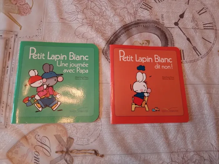 2 livres petit lapin blanc