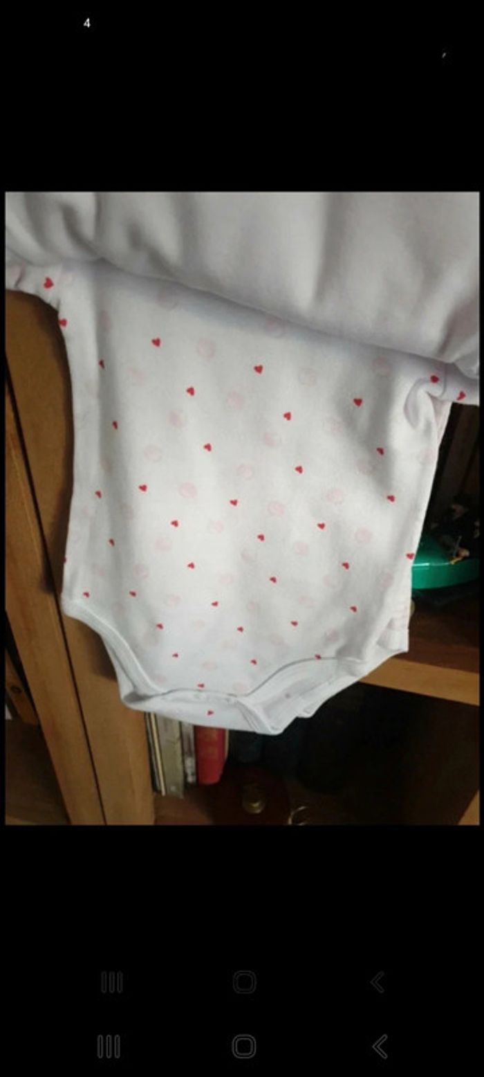 Lot 4 bodys + 1 dors bien en coton bio 6 mois - photo numéro 5