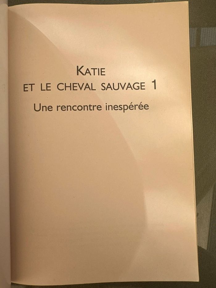 Katie et le cheval sauvage Kathleen Duey - photo numéro 2