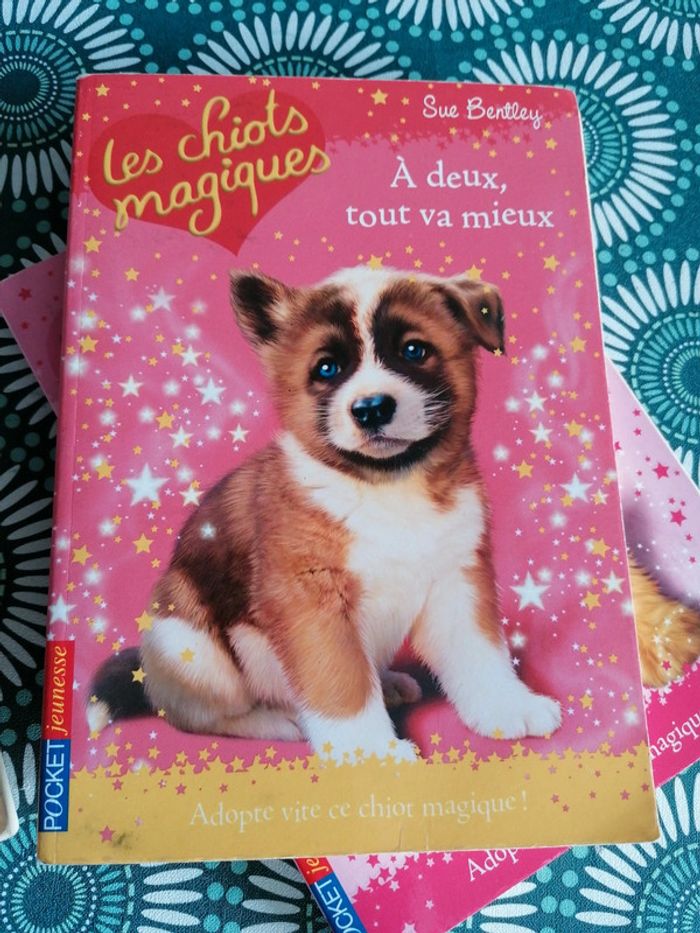 Les chiots magiques - photo numéro 3