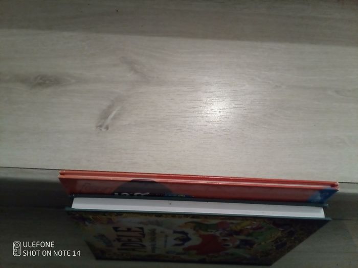 Pour Anaïs 2 livres enfants - photo numéro 3