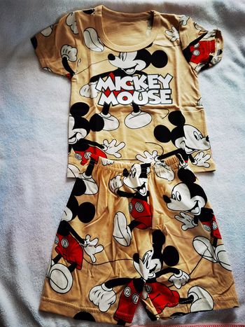 ensemble 2 pièces garçon 9 mois