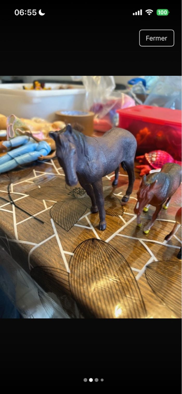 Chevaux - photo numéro 2