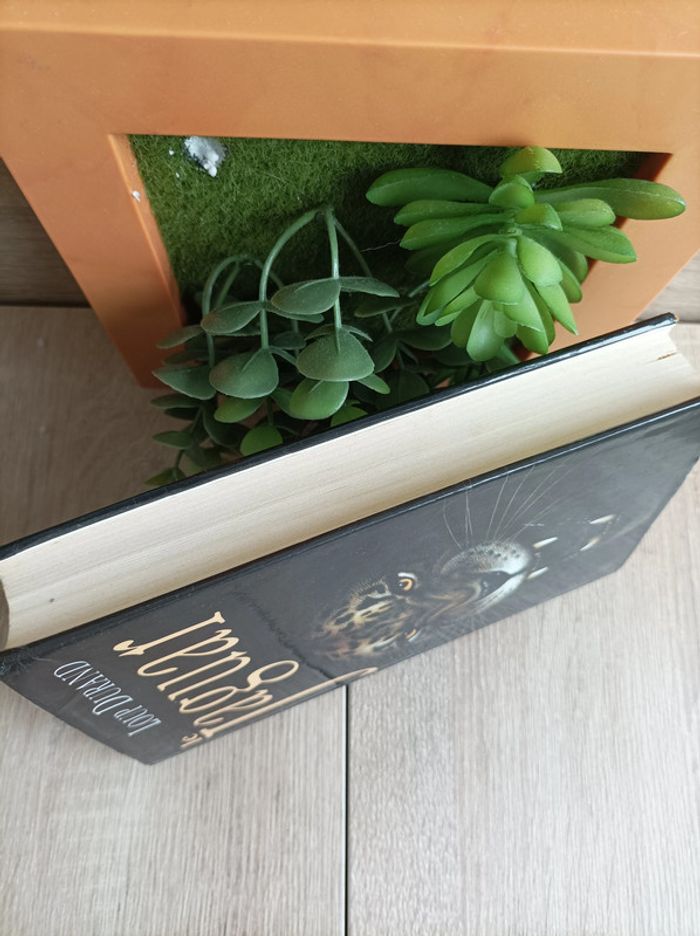 Livre Le Jaguar Loup Durand - photo numéro 5