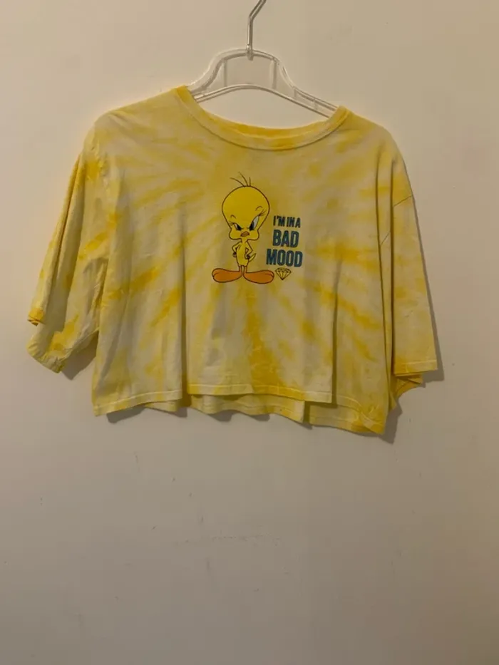 Tee shirt crop