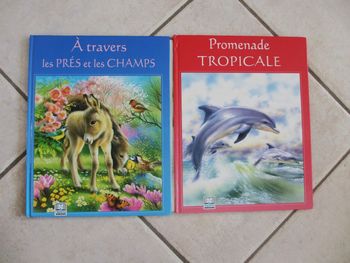 Lot de 2 livres enfant : A travers les prés et les champs et Promenade tropicale
