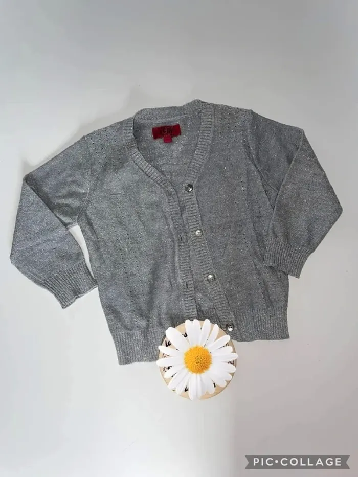 Gilet gris