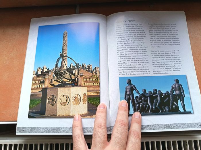 Livre Vigeland très bon état - photo numéro 3